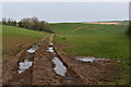 Farm track towards Great Polgrain