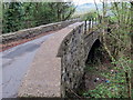 Hen bont reilffordd / Former railway bridge