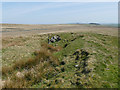 SE0150 :  High Bradley Moor, looking east by Stephen Craven