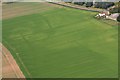 Cropmarks in field by Locksley Hall, North Somercotes: aerial 2019