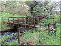 Pompren Nant Einon / Nant Einon Footbridge