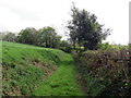 Llwybr ceffyl ger Plas Llwyd / Bridleway near Plas Llwyd