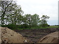 Farmland and drain near Mill House Farm