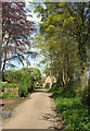 North Street, South Petherton