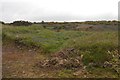 Quarry workings, Portree (Wigtownshire)