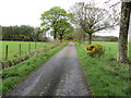 Road near to Saddlebank