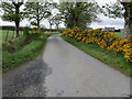 Road looking towards Saddlebank