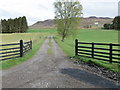 Track leading to Ardlarach