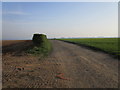 Track to Towthorpe High Barn