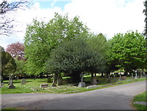 TQ0371 : St Mary, Staines: churchyard (b) by Basher Eyre