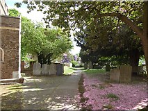 TQ0371 : St Mary, Staines: churchyard (e) by Basher Eyre