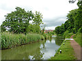 Droitwich Junction Canal in Droitwich Spa, Worcestershire