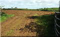 Field near Lower Severalls Farm solar farm