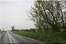 TL1585 : Sawtry Road, Glatton by David Howard