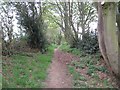 Bridleway towards Hollyhurst