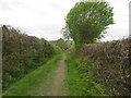 Pathway west of Blairgowrie