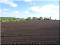 Field near Bryn-newydd Farm