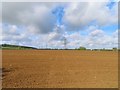 Footpath to Farmoor crossing a field