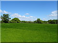 Farmland east of Marchwiel