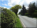 A525 near Halghton Farm