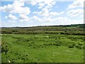 Sheep pasture near Little Wood