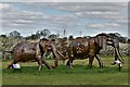 British Ironwork Centre: African Forest and Bush Elephants