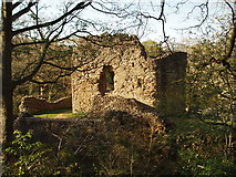 SJ2867 : Ewloe Castle by Chris Andrews