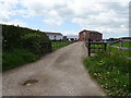 Track to Egerton Bank Farm