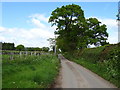 Lane near Egerton Bank Farm