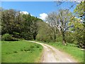 Track to Barton Wood