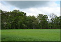 Grassland towards woodland