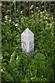 Milestone beside Leeds to Liverpool Canal