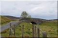 Nap Bridge, Roberton