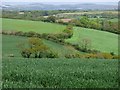 Farmland, Ladock