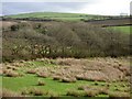 Pasture, St Columb Major