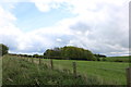 Farmland near Newhouse