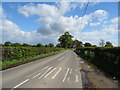 Minor road towards Crewe-by-Farndon