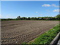 Field near Swn-y-Coed