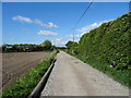 Track (footpath), Holt