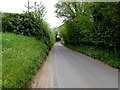 Herefordshire country lane, Whitchurch