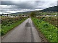 Looking towards Llandrillo from the road to Dinam