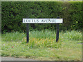 Loftus Avenue sign