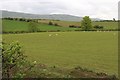 Pastoral East Dunbartonshire