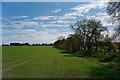 Large field below Geanies