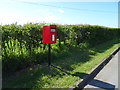 SJ3953 : Elizabeth II postbox on Rossett Road, Holt by JThomas