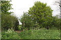 Bridleway goes over the hoof bridge towards Ryholmes Bridge