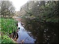 River Derwent between East Law and Shotley Bridge