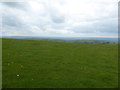 SO1486 : Upland meadow beside the Kerry Ridgeway / Ffordd Las Ceri by Jeremy Bolwell