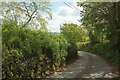 Pound Lane at Higher Loveham