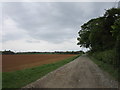 Track to Denton Manor Farm